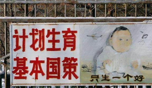 最新公职违反计划生育背后的故事与小巷神秘小店探秘揭秘