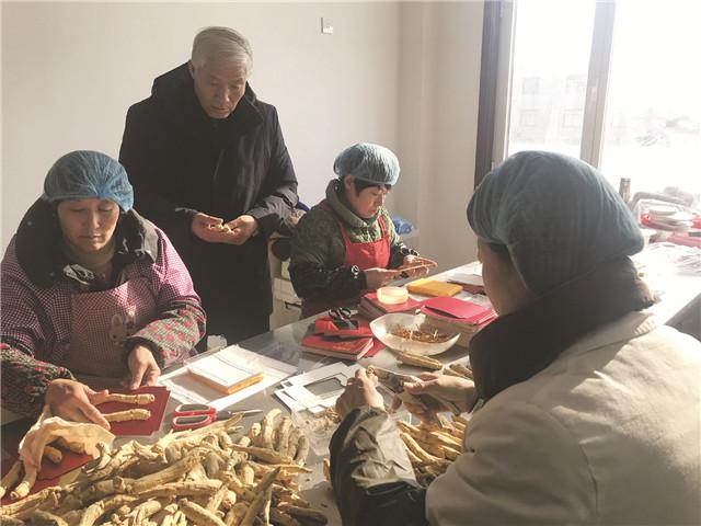 太子参种子最新价格及购买指南