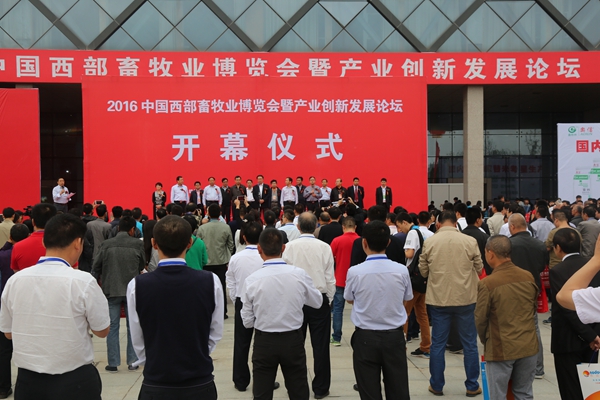 西部牧业蓬勃发展，新篇章下的畜牧业最新消息