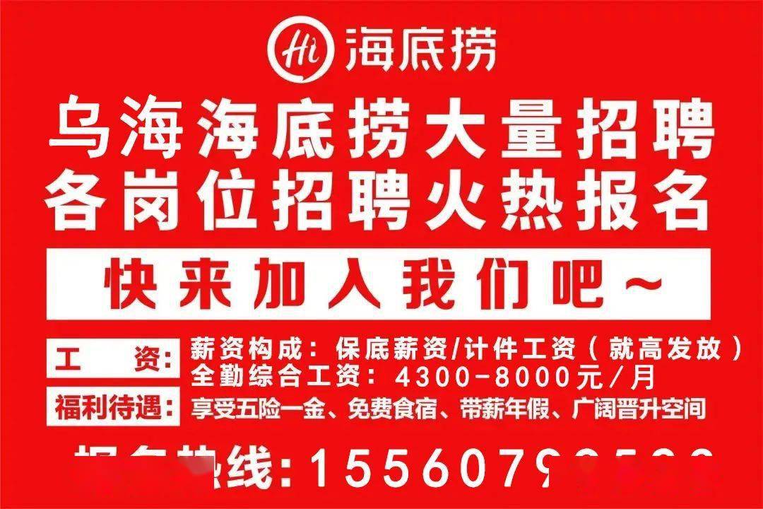 乌海招聘网最新信息及步骤指南