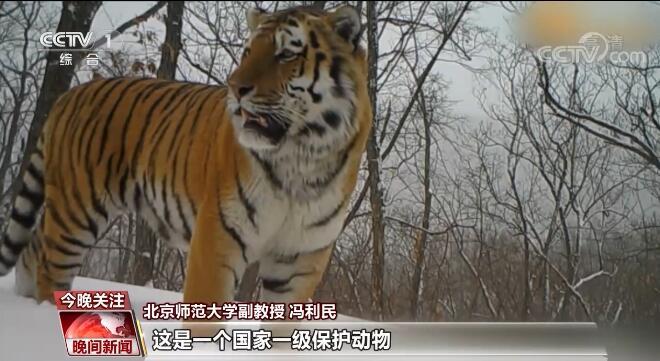 罐体自动焊接 第128页
