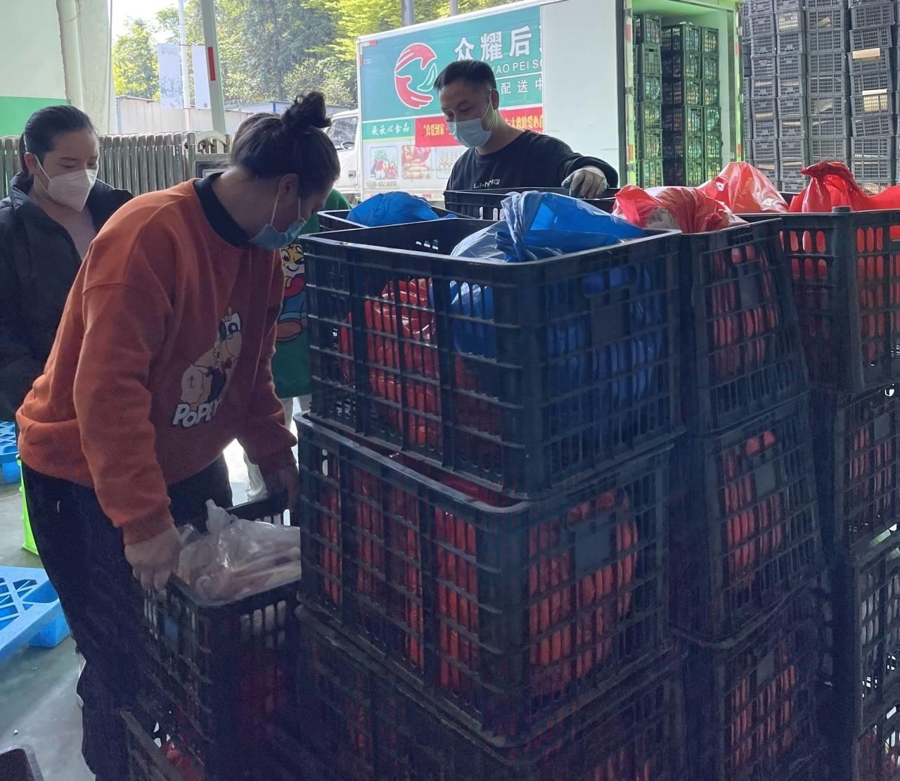美国最新疫情增长与巷弄深处的独特风味
