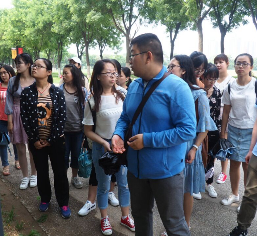 大明宫最新动态，历史、文化与保护的深度探讨