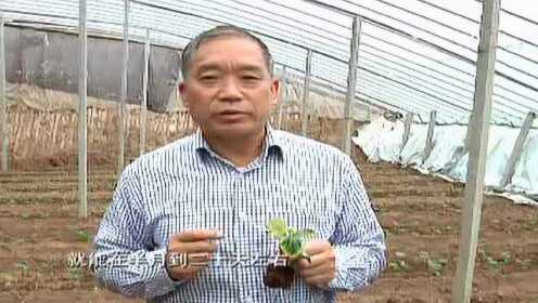 程守田的温馨城市农夫生活与最新日常奇妙冒险