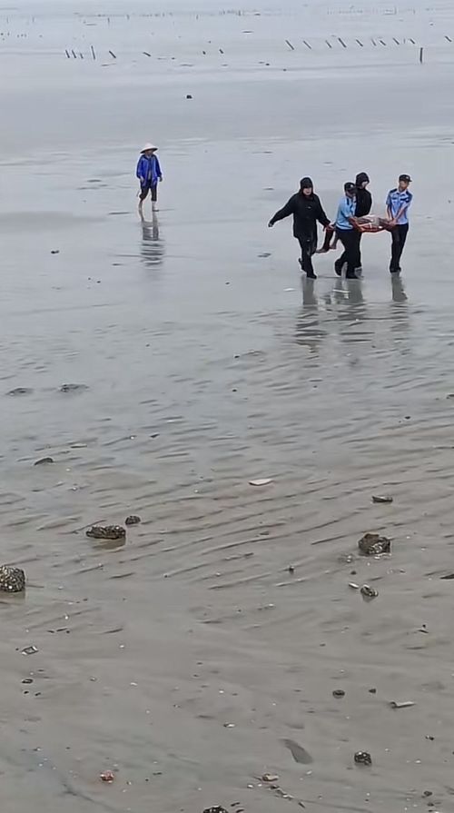 罐体自动焊接 第78页