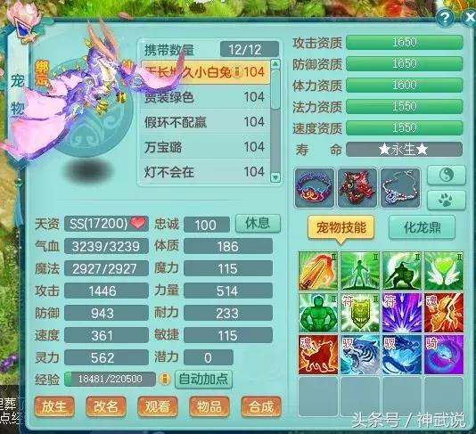 神武地府版本更新概览，自然美景的心灵之旅