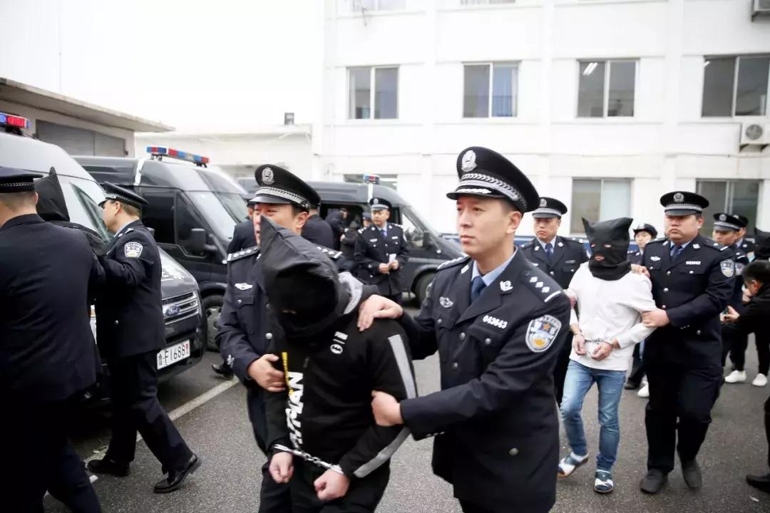 广东网络诈骗最新动态与防范指南，详细步骤教你识别并避免网络诈骗风险
