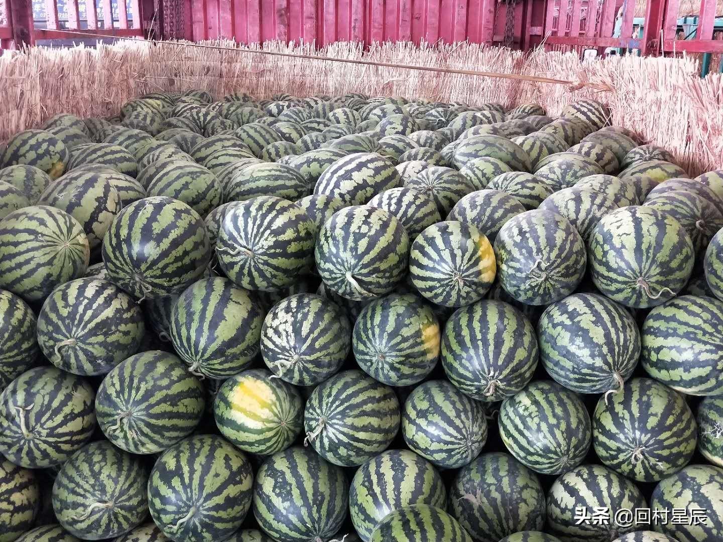 河北最新甜观点阐述，探寻甜蜜背后的故事