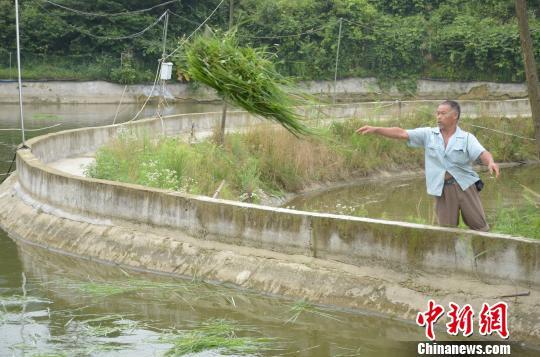 最新疫情金寨，全面关注与应对措施