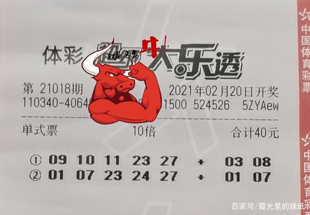 彩票技巧最新揭秘，日常故事中的幸运秘诀