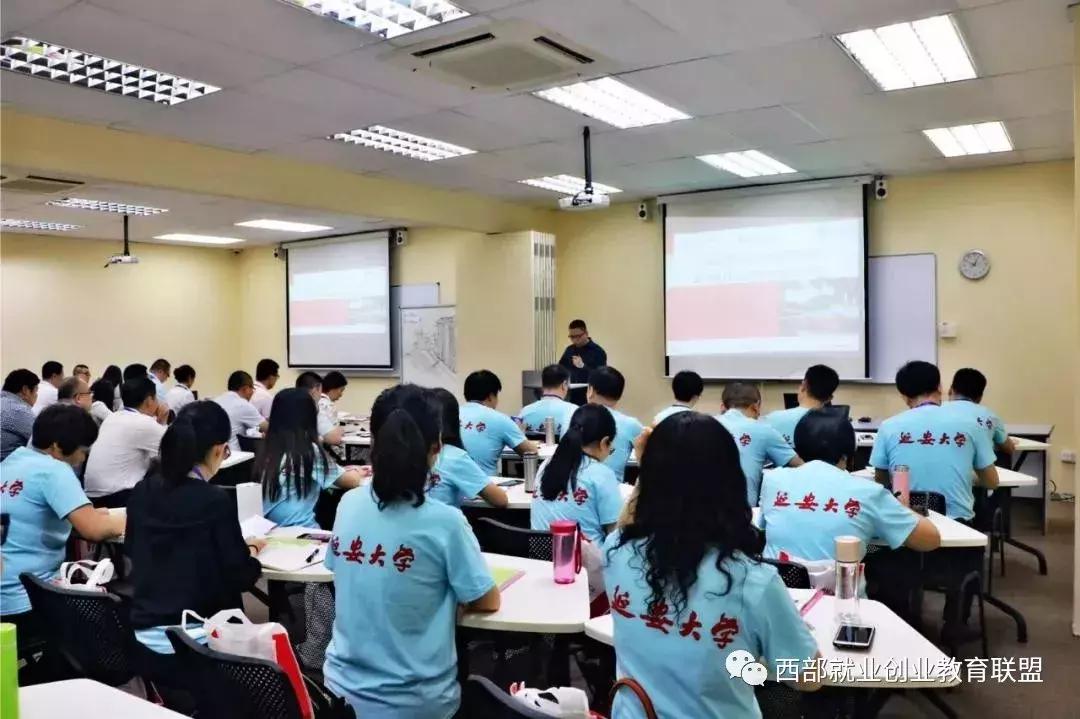 寻找内心的宁静，最新任务与自然的和谐共舞