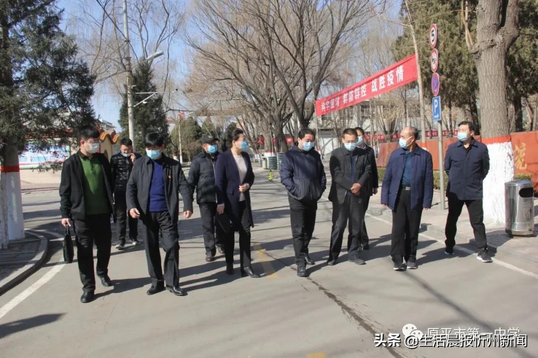 原平政府最新动态更新🌟