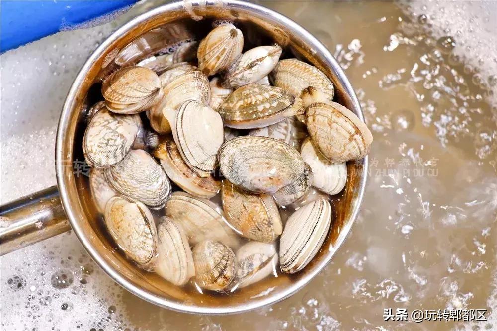 最新酒楼川菜，味蕾盛宴与人生励志之旅