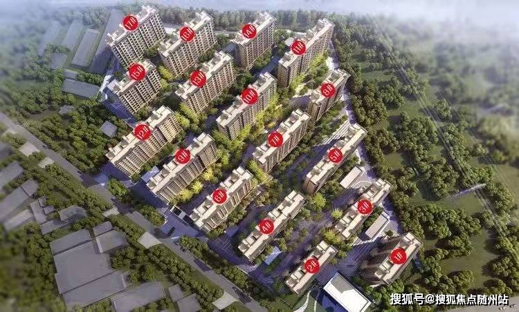 贵洲疫情最新消息更新，最新动态与状况概述