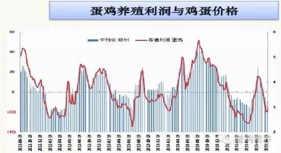 最新鸡蛋成本详解，如何了解和计算鸡蛋成本？