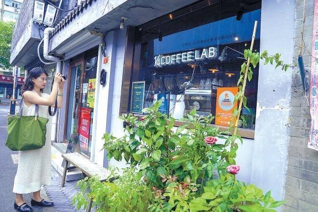 SEO教程最新探索，小巷特色小店的隐藏魅力与宝藏